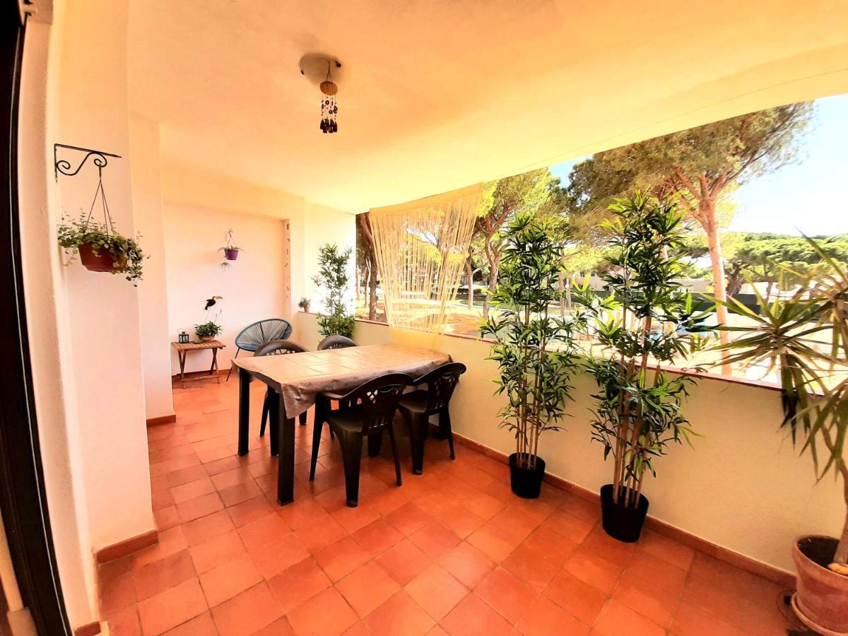 Apartment Amalia 阿尔布费拉 外观 照片