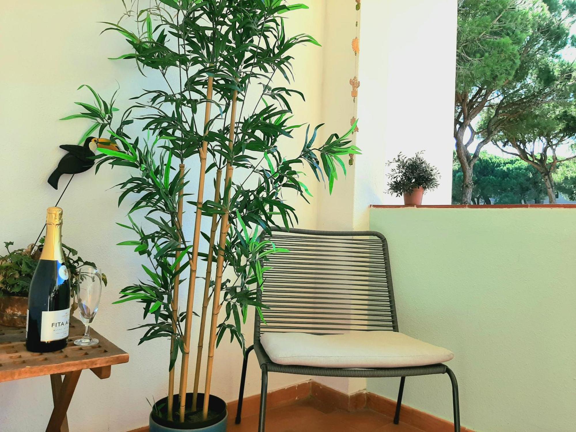 Apartment Amalia 阿尔布费拉 外观 照片